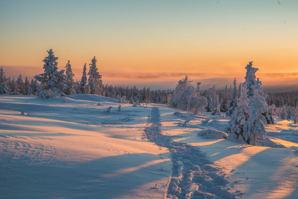 Photo du paysage de Laponie